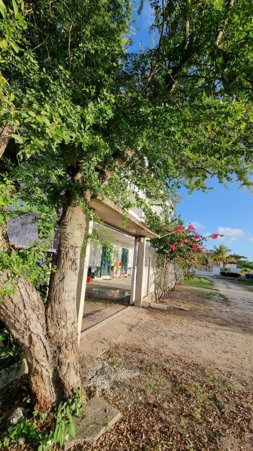 Отель Solar Teixeira Flats Порту-де-Галиньяш Экстерьер фото
